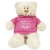 Sending You A Big Bear Hug! - Cream Bear pink 38cm