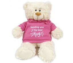 Sending You A Big Bear Hug! - Cream Bear pink 38cm