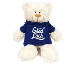 Good Luck - Cream Bear blue 38cm