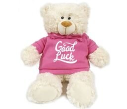 Good Luck - Cream Bear pink 38cm
