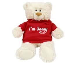 I'm Sorry - Cream Bear Red 38cm