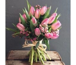 Pink Tulip Surprise