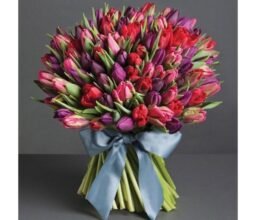 Grand Tulip Garden