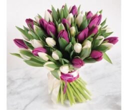 Heavenly Purple and White Blooms
