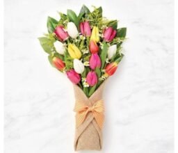Colorful Tulips Bunch