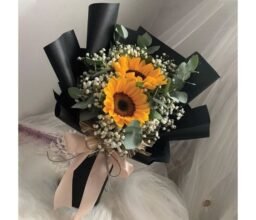 Sunflower Beauty