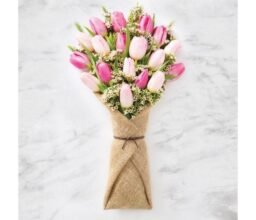 Tulips in Pink