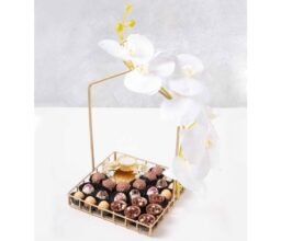 25 Pcs Diwali Hamper