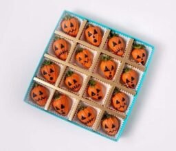 16pcs Chocolate Strawberry Pumpkins