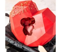 Alternative view of 3D Heart