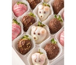 Alternative view of Berries and Bears