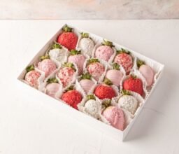 20 Pieces Strawberries