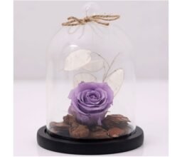 Purple Forever Rose In Glass Dome