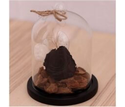 Black Forever Rose In Glass Dome