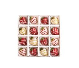 NJD_XMAS22_06_1