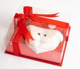 Santa Smashed it - Image 3