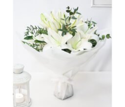 TAB_Feb019