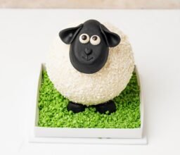 Alternative view of 3D White Smash Sheep