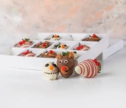 NJD_XMAS23_11_1