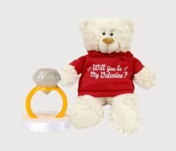 Will you be my Valentine Bundle
