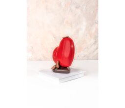Alternative view of 3D Heart