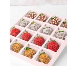 16 chocolate Strawberries '24 Collection - Image 3