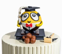 Graduation Theme Minion