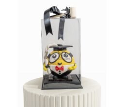 Alternative view of Graduation Theme Minion