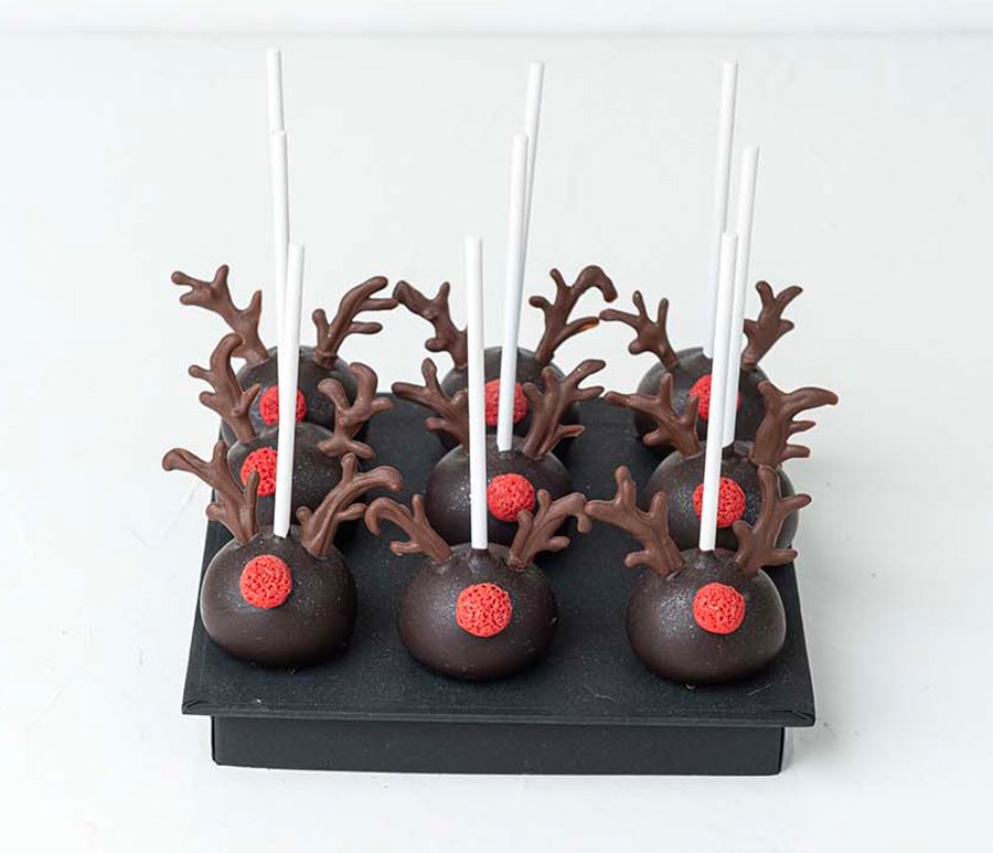 Reindeer 9 Cake Pops - Image 2