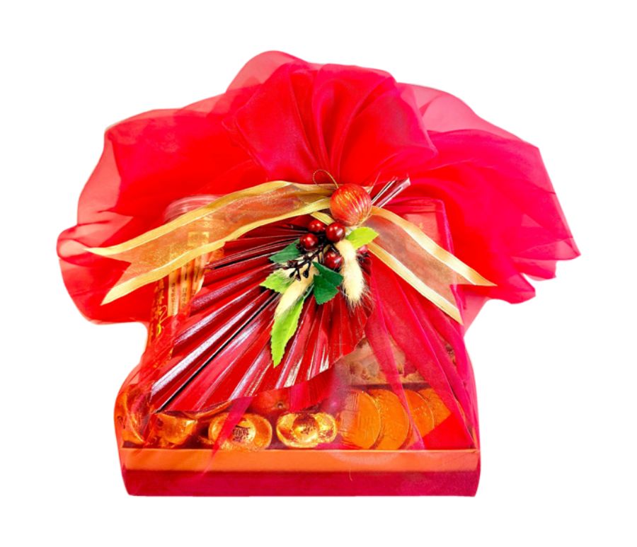 MANGE_CNY11-1