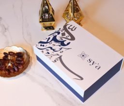 SYA_013.1