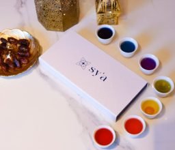 SYA_014.2