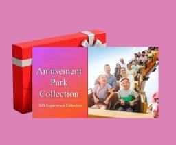 Amusement Park Experience Collection