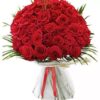 Garden of 50 Roses