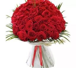 Garden of 50 Roses
