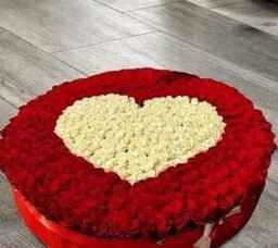500 Magnificent Roses Arrangement