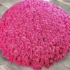 500 Dark Pink Roses Arrangement